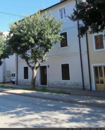 Pet Friendly Apartment Murvi 50 Novigrad  ภายนอก รูปภาพ